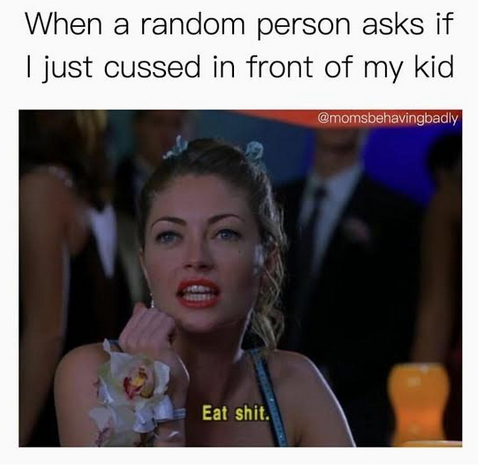 Delightfully Sweary Memes For Moms Who Like To Cuss Sammiches