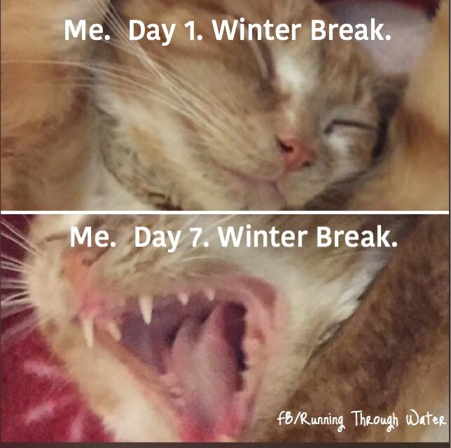 21 Relatable Winter Break Memes By Parents Just As Overwhelmed As You Are