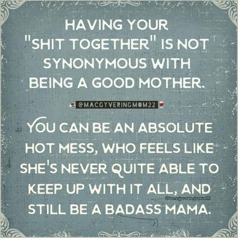 11 Spot-On Memes For Hot Mess Moms | Sammiches & Psych Meds